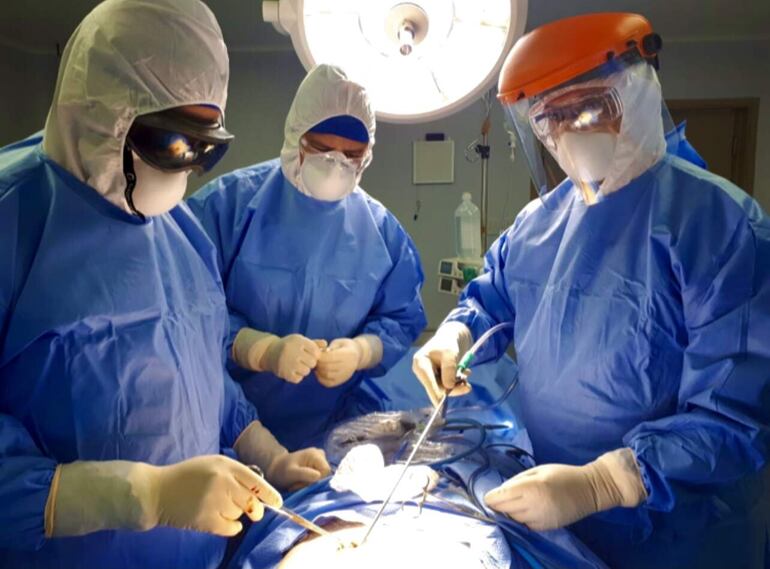 FotosNavegación entre mensajesMensaje 1 de 228 Anterior Siguientechange-formatchange-format
Asunto:Fwd: Fotos doctor Osmar Cuenca, decano de Medicina
De	Pedro Gomez <pgomez@abc.com.py>
Destinatario	foto@abc.com.py
Fecha	28-09-2021 21:14 decano de Medicina
De	Pedro Gomez <pgomez@abc.com.py>
Destinatario	foto@abc.com.py
Fecha	28-09-2021 21:14