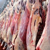 Estados Unidos cerró el 2025 como el segundo mayor comprador de carne paraguaya.
