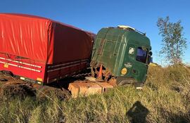 Camión grande de color verde con caja roja incrustado entre maleza en la ruta PY22, sin personas visibles.