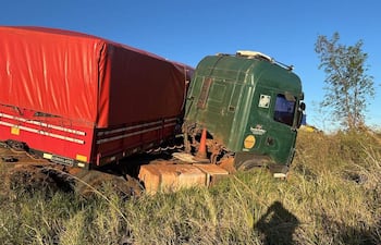 Camión grande de color verde con caja roja incrustado entre maleza en la ruta PY22, sin personas visibles.