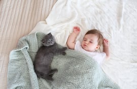Bebé duerme con un gato.