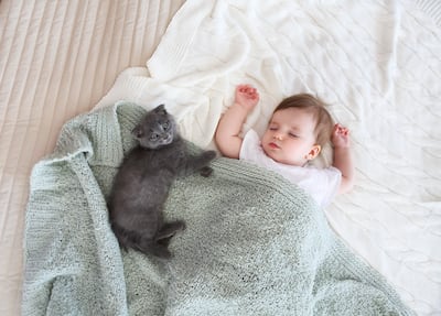 Bebé duerme con un gato.