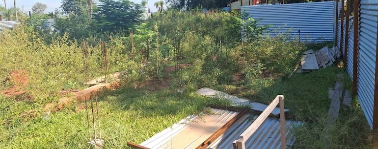 Las obras del MEC quedaron en cimientos, abandonadas y cubiertas por el matorral.