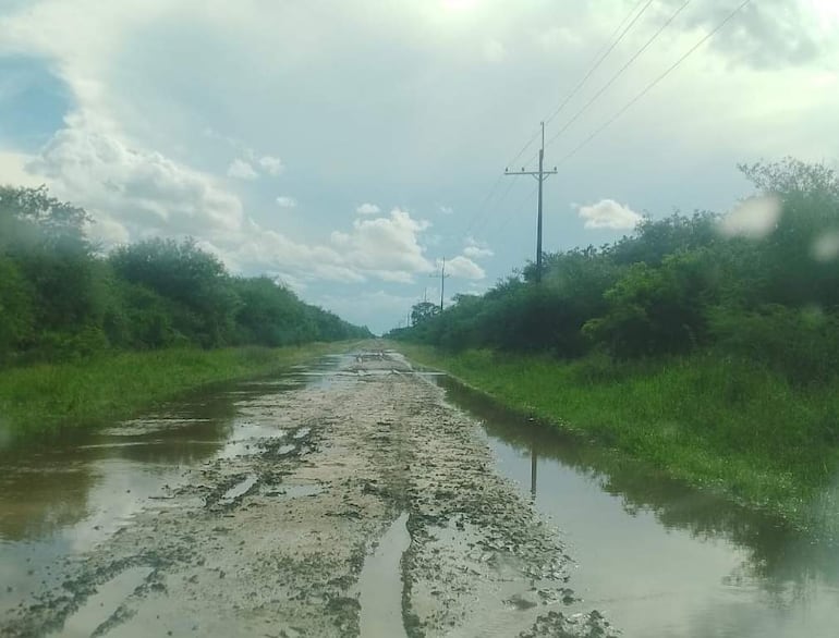 Camino rural cubierto de barro y agua, con vegetación densa a los lados y postes de luz en el fondo bajo un cielo nublado.