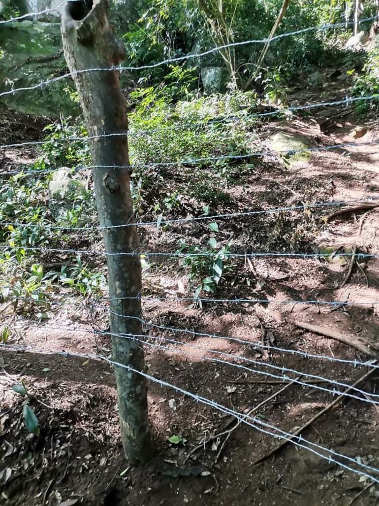 Los turistas ya no pueden acceder al Cerro Verá.