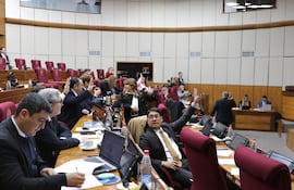 Vista de la Cámara de Senadores. Foto: Gentileza del Senado.