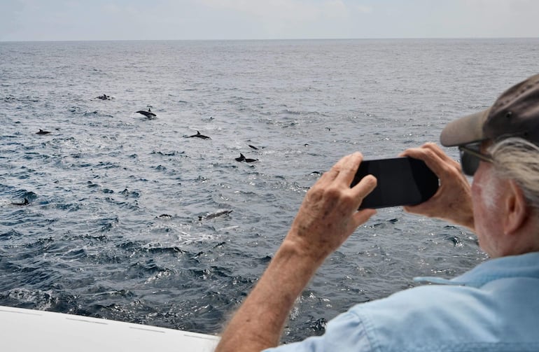 Delfines comunes, los cetáceos más abundantes del mundo, nadan junto a una embarcación en aguas del océano Pacífico, frente a la costa de Long Beach, California, el 17 de julio de 2026. 