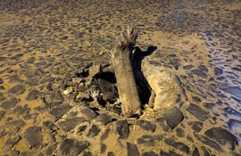 El agujero es tan grande que hasta un pedazo de tronco puede entrar.