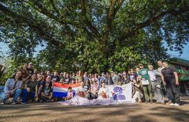 "El árbol" en Villarrica es toda una referencia en la ciudad y fue coronado como ganador de la categoría "árbol de mi comunidad".