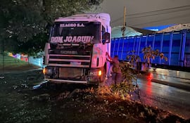 Camión se accidenta en Madame Lynch al esquivar a un auto.