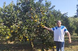 El productor Gustavo Duarte de la colonia Navidad muestra la calidad de las frutas de naranja de su chacra