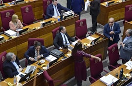 La Cámara de Senadores analiza hoy en sesión extraordinaria un total de 15 puntos que figuran en el orden del día.