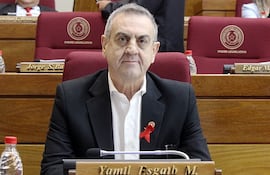 Yamil Esgaib, diputado cartista.