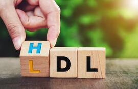Cómo elevar el colesterol bueno.