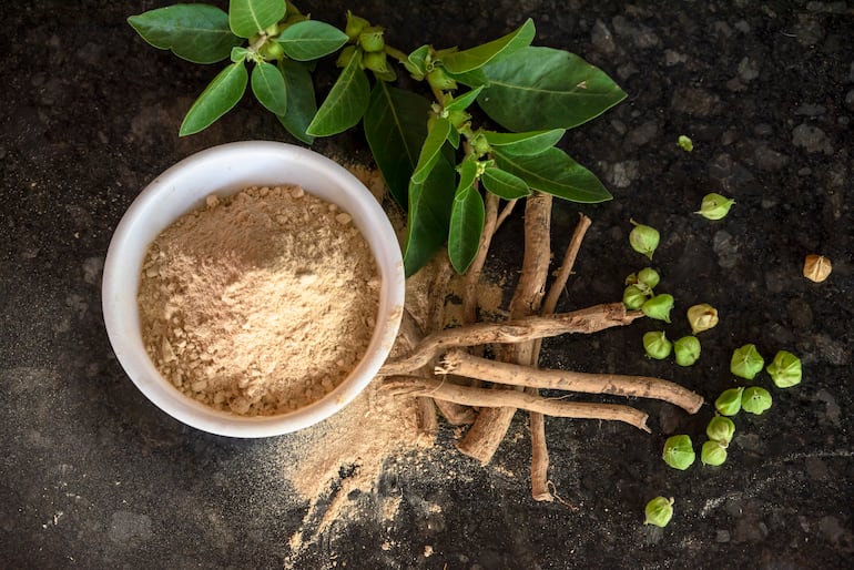 Ashwagandha o Withania Somnifera.