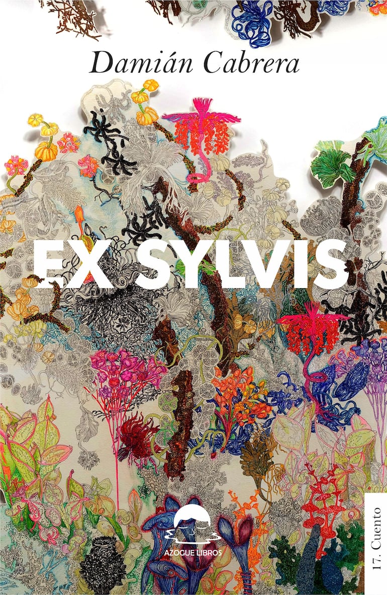 Imagen sin descripción