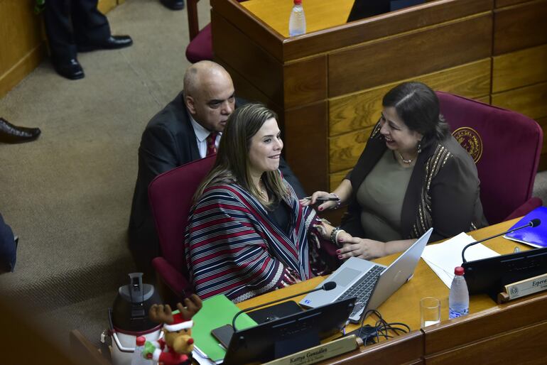 Sesión de la Cámara de Senadores quedó sin quorum hoy. 