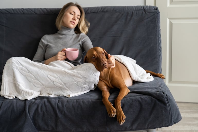 Cómo mantener abrigado a tu perro en días fríos.