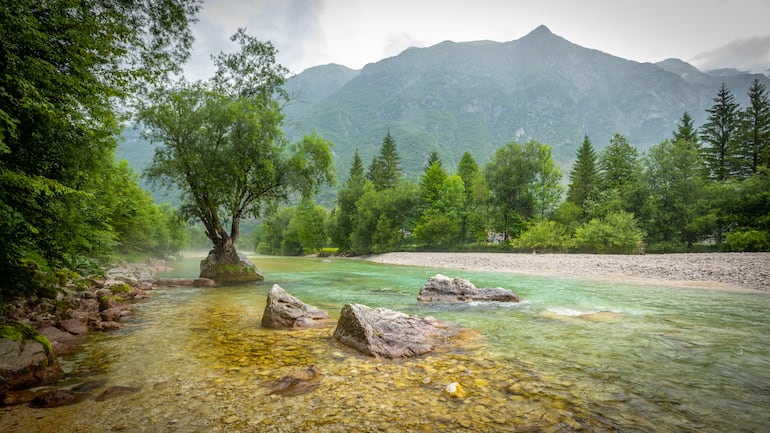 Valle del río Soča, cerca de Bovec, en el Parque Nacional de Triglav, Alpes Julianos, Eslovenia, Europa.