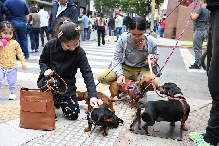 Dos mujeres acarician a perros dachshund en una calle, mientras un grupo de personas camina al fondo.