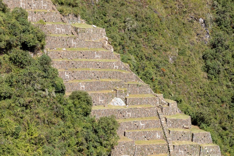 Famosas terrazas con figuras de llamas en Choquequirao, Perú.