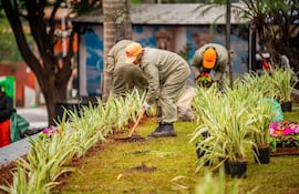 Tres trabajadores con overoles claros y gorras naranjas arreglan un jardín, sosteniendo plantas y utilizando herramientas de jardinería.