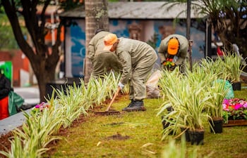 Tres trabajadores con overoles claros y gorras naranjas arreglan un jardín, sosteniendo plantas y utilizando herramientas de jardinería.