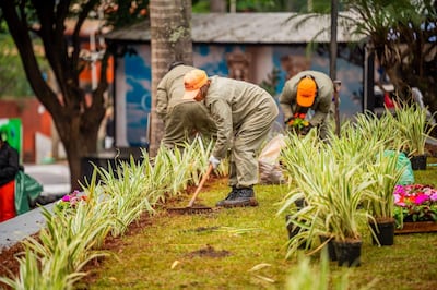 Tres trabajadores con overoles claros y gorras naranjas arreglan un jardín, sosteniendo plantas y utilizando herramientas de jardinería.
