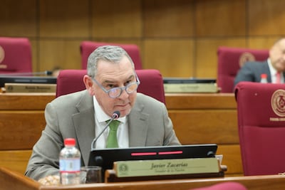 Javier Zacarías Irún (ANR- HC), titular de Constitucionales.