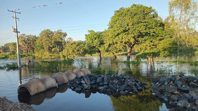 Paisaje inundado con árboles verdes, tubos de cemento y un poste de electricidad, sin personas visibles.
