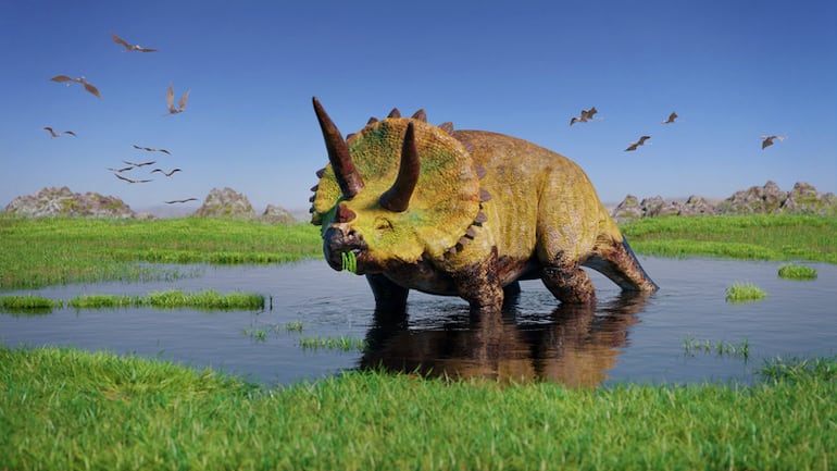 Triceratops horridus y una bandada de pterosaurios de la era Jurásica comiendo plantas de agua.