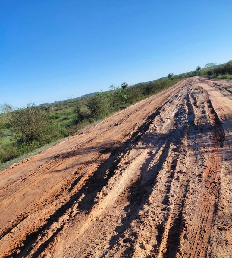 Un camino de tierra sin personas, rodeado de pequeñas plantas bajo un cielo azul claro y brillante.
