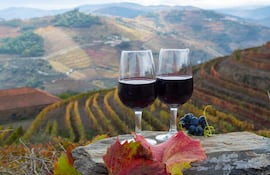 Degustación de vino de Oporto, producido en el Valle del Duero, Portugal.