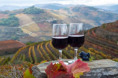 Degustación de vino de Oporto, producido en el Valle del Duero, Portugal.
