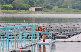 Planta solar flotante de Itaipú tiene pasarela para acceder a los paneles que están sobre el embalse de la central hidroeléctrica.