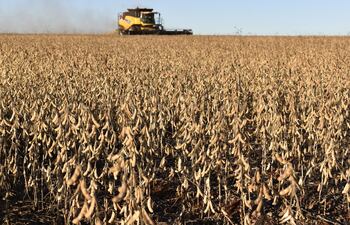 El seguro agrícola es una interesante oportunidad para el productor de no arriesgar ni siquiera sus costos de producción.