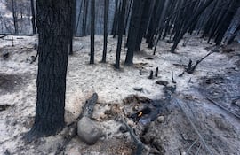 Una zona afectada por los incendios forestales, en el Hoyo provincia de Chubut (Argentina).
