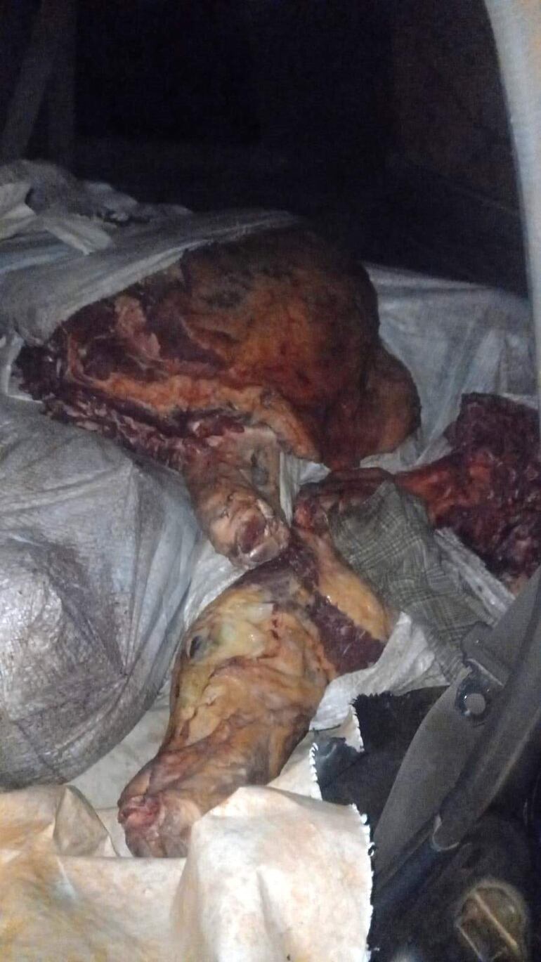 Se incautó 235 kilos de carne, que el conductor de la camioneta no pudo justificar su procedencia.