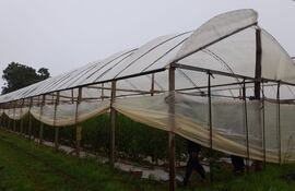 Joven falleció como consecuencia de la caída de un rayo mientras trabajaba en la huerta de su patrón en Santa Rosa Misiones.