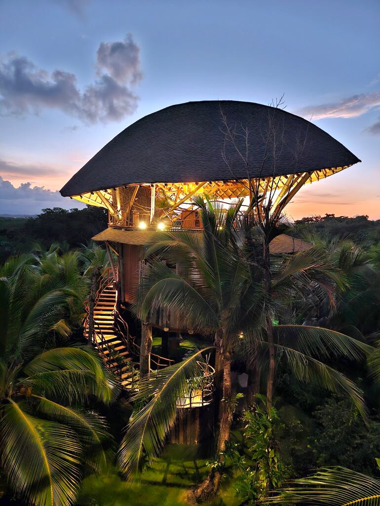 Casa del árbol, Nayara Bocas del Toro, Panamá.