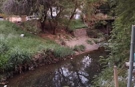 Entorno natural con vegetación abundante y un riachuelo a la derecha, camino y vehículo estacionado al fondo, sin personas presentes.