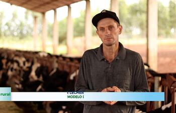 Producción lechera semi intensiva, uso de genética y modelo de comercialización