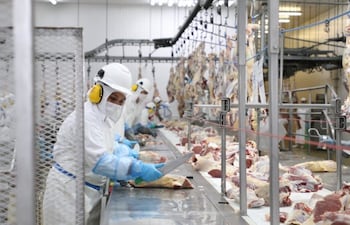Carne vacuna en frigorífico