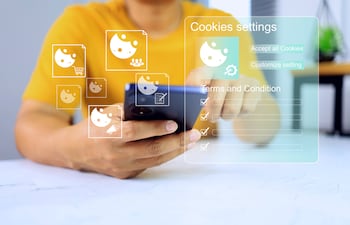 Concepto de cookies en el navegador.