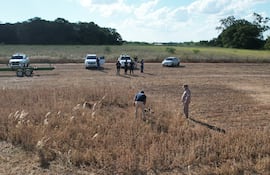 Restos óseos fueron encontrados en un cultivo de soja en la zona de Yaguary, distrito de San Ignacio, Misiones.