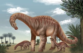 Imagen cedida por la Facultad de Ciencias de la Universidad de la República (Udelar) de Uruguay que muestra una ilustración del Mesetasaurus protector, una nueva especie de dinosaurio gigante que habitó el actual territorio nacional hace unos 80 millones de años, durante el período Cretácico Tardío.