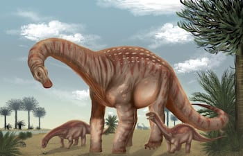 Imagen cedida por la Facultad de Ciencias de la Universidad de la República (Udelar) de Uruguay que muestra una ilustración del Mesetasaurus protector, una nueva especie de dinosaurio gigante que habitó el actual territorio nacional hace unos 80 millones de años, durante el período Cretácico Tardío.