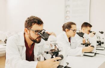La carrera de Medicina está habilitada en la ciudad de Saltos del Guairá, departamento de Canindeyú.