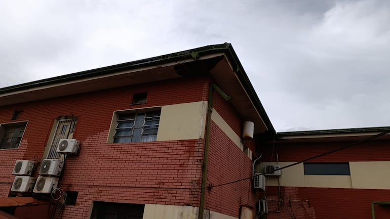 Piden extremar cuidados por invasión de abejas en Pediatría del Hospital Regional de CDE