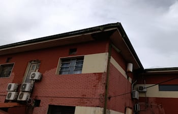 El panal fue encontrado en el techo del sector de Pediatría del Hospital Regional.